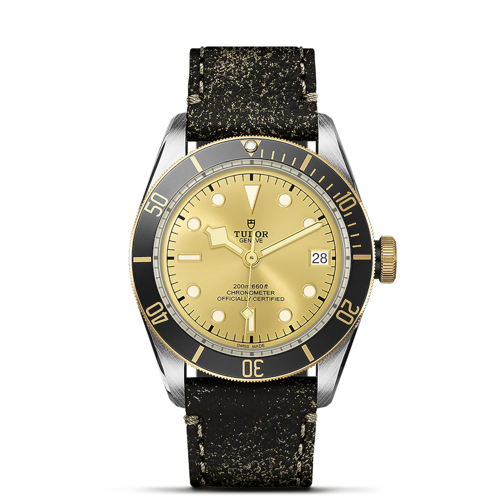 Tudor Black Bay S&G Ref. M79733N-0003